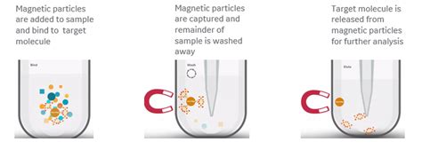 Nucleic Acid Extraction Techniques .